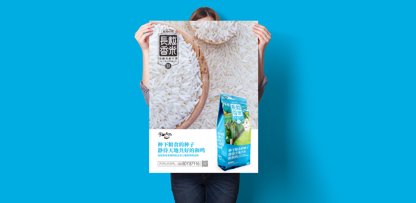金谷尚品大米产品包装海报设计