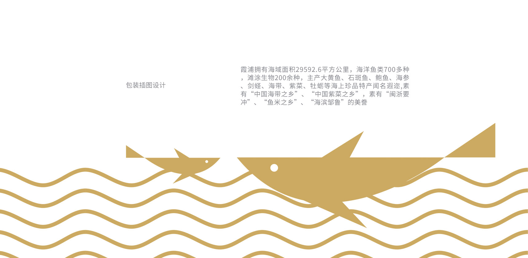 深海渔宫包装设计插图设计